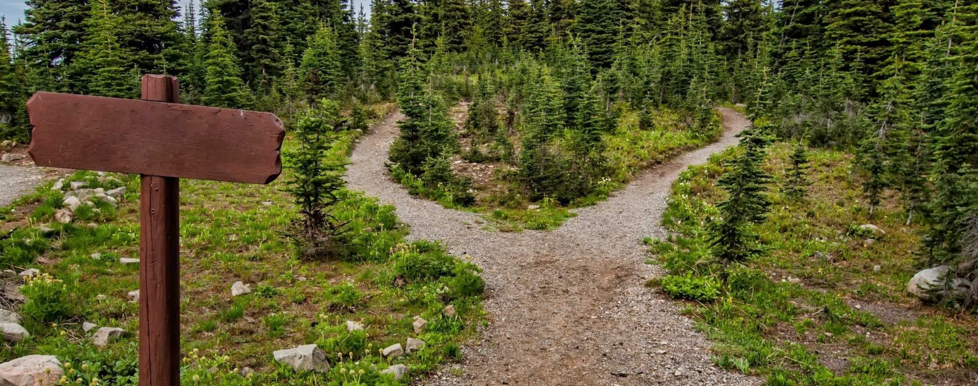 Sign-Up Header Image